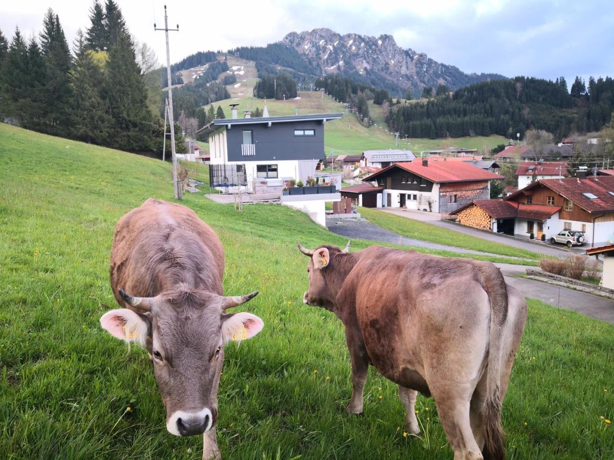 Jungholz Erlebnis Daire Dış mekan fotoğraf