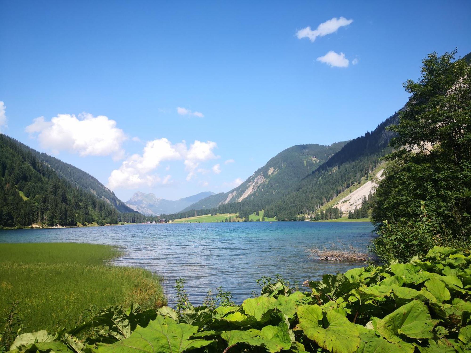 Jungholz Erlebnis Daire Dış mekan fotoğraf